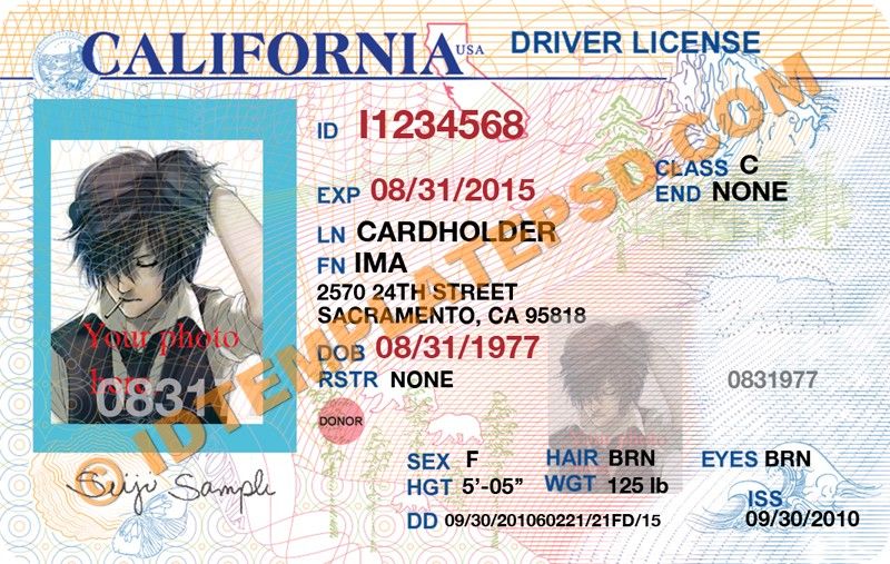 State drivers license psd templates